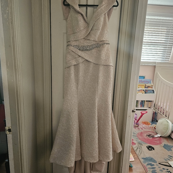 Terani Couture Blush and Gold Evening Gown - Picture 8 of 10